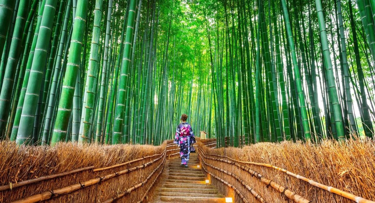 [Tour mùa hè] TP.HCM - OSAKA - KYOTO - NAGOYA - YAMANASHI - TOKYO  (VNA)