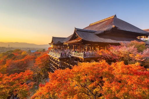Osaka - Cố đô Kyoto - Nagoya