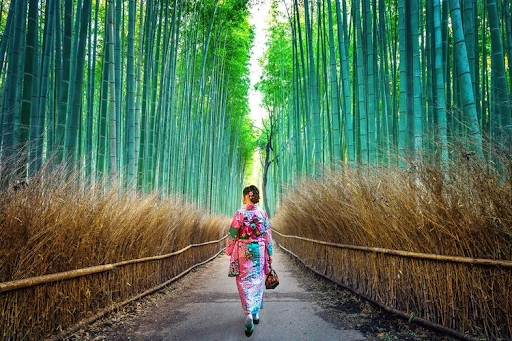 Rừng trúc Arashiyama với con đường mòn trải dài ngỡ như vô tận