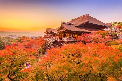 Chùa Kiyomizu Dera hay còn được biết đến với cái tên khác là chùa Thanh Thuỷ Kyoto được xây dựng hoàn toàn bằng gỗ