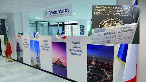 TLScontact