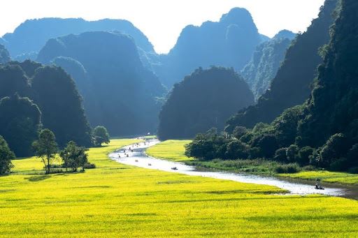 Cung đường đi thuyền đẹp như tranh vẽ ở Tam Cốc - Bích Động