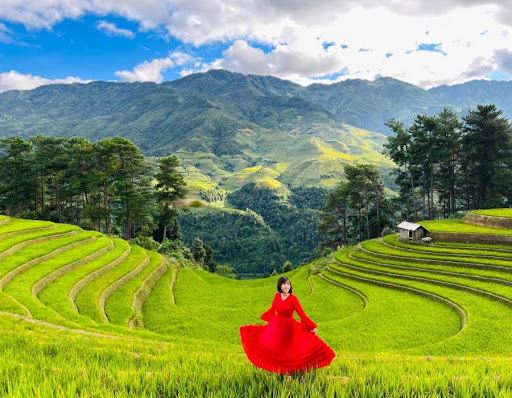 Rất nhiều du khách đến Mù Cang Chải để checkin cùng cánh đồng lúa