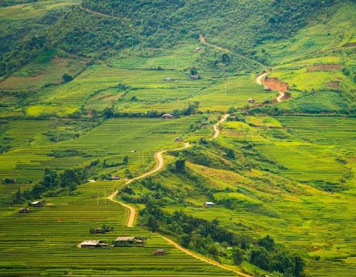 Mù Cang Chải