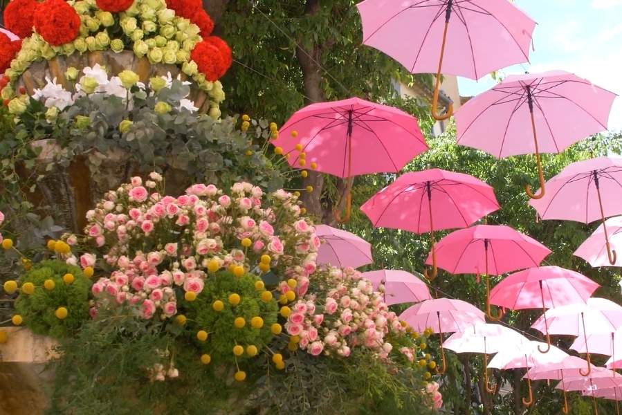 Lễ hội Hoa Hồng Grasse, miền Nam nước Pháp