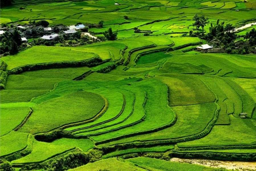Đèo Khau Phạ vào cuối tháng 9