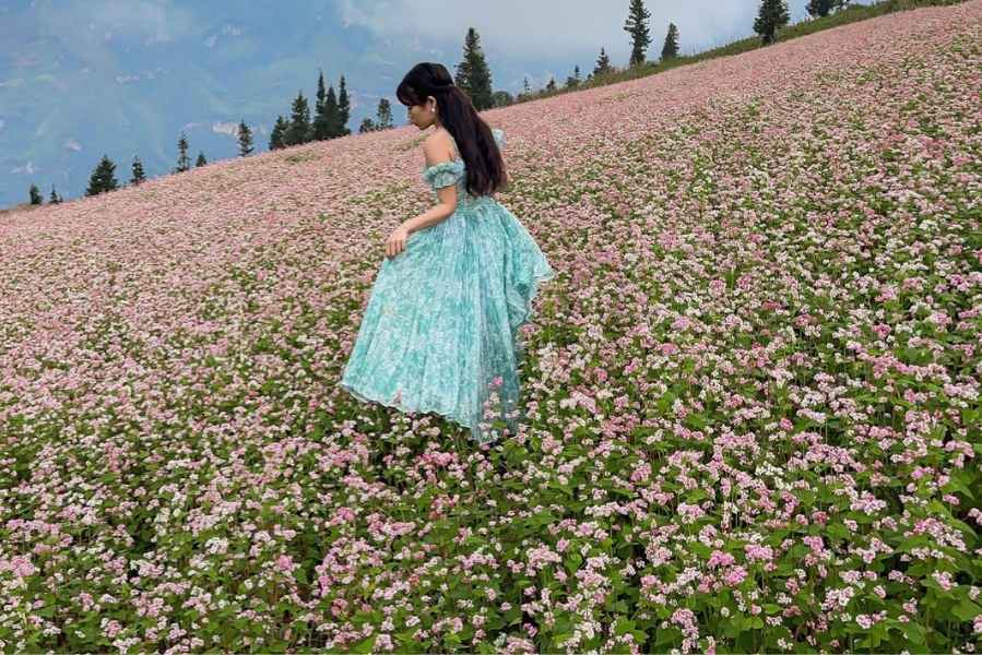 Thung lũng Sủng Là đẹp nên thơ, nhất là khi hoa tam giác mạch nở rộ.