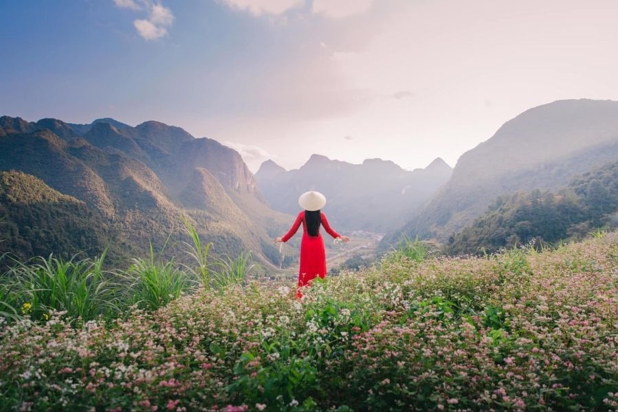Một mùa hoa tam giác mạch Hà Giang tràn ngập sắc màu chờ đợi bạn khám phá.