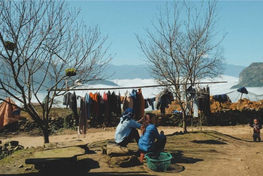 Đôi cây hạnh phúc – biểu tượng của sự gắn kết giữa thiên nhiên và con người.