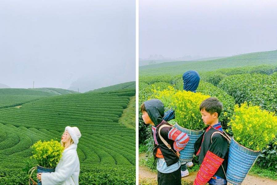 Ảnh chụp ở đồi chè trái tim