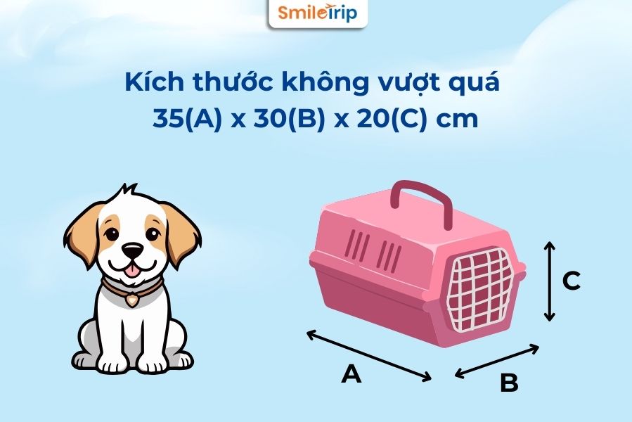Quy định về kích thước lồng khi vận chuyển thú cưng của Vietnam Airlines