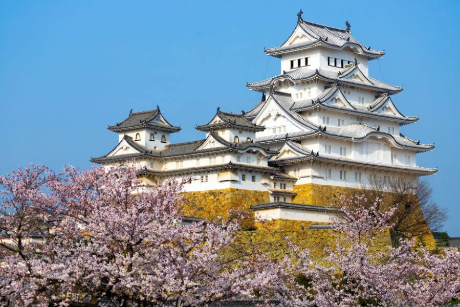 Khám phá lâu đài Nagoya: Biểu tượng của thành phố cổ kính
