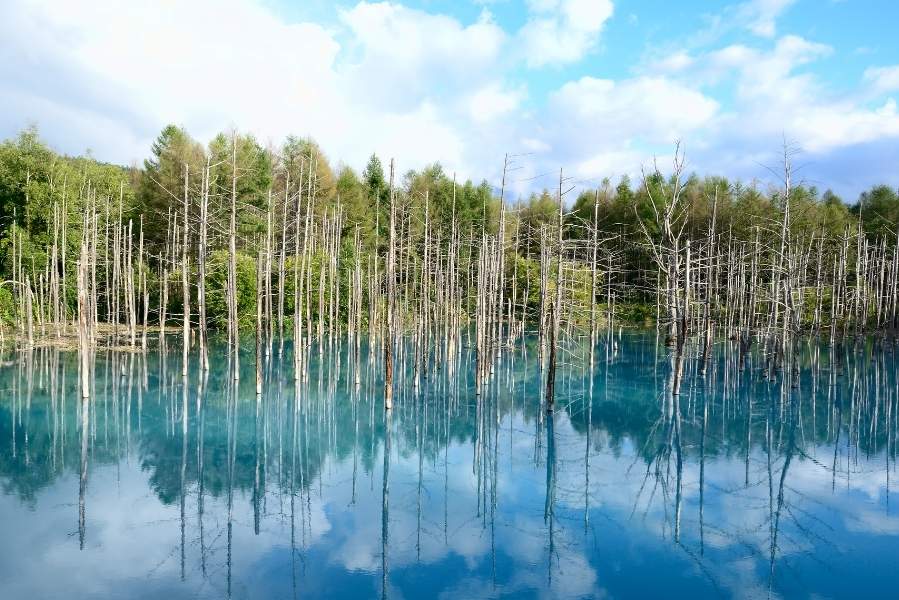 Hồ xanh Shirogane mang màu xanh ngọc ảo diệu