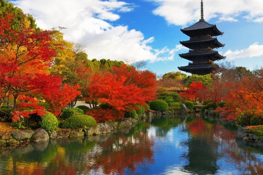 Nagoya mùa thu chuyển mình sang màu vàng và đỏ rực rỡ