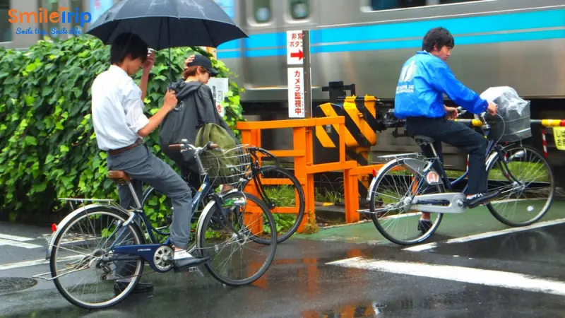 Phương tiện di chuyển tại Nhật Bản đa dạng để người Việt sử dụng