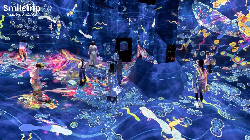 Đắm chìm vào thế giới đầy màu sắc tại TeamLab Planets Tokyo