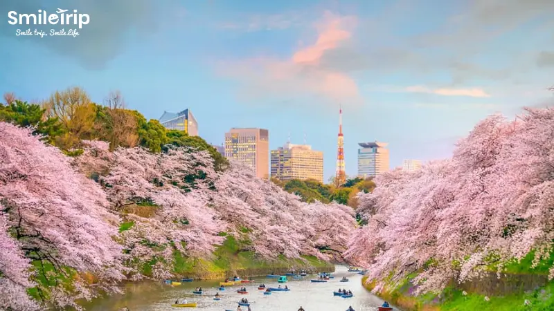 Đi du lịch Tokyo không thể bỏ qua Vườn quốc gia Shinjuku Gyoen