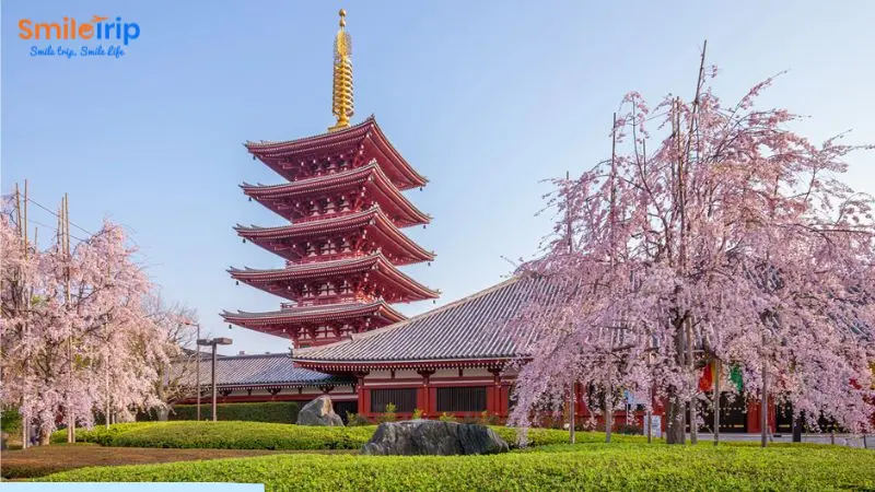 Du lịch Tokyo chiêm ngưỡng cảnh đẹp đắm say lòng người