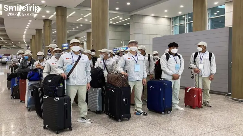 Nhiều người Việt Nam chọn Nhật Bản là nơi làm việc
