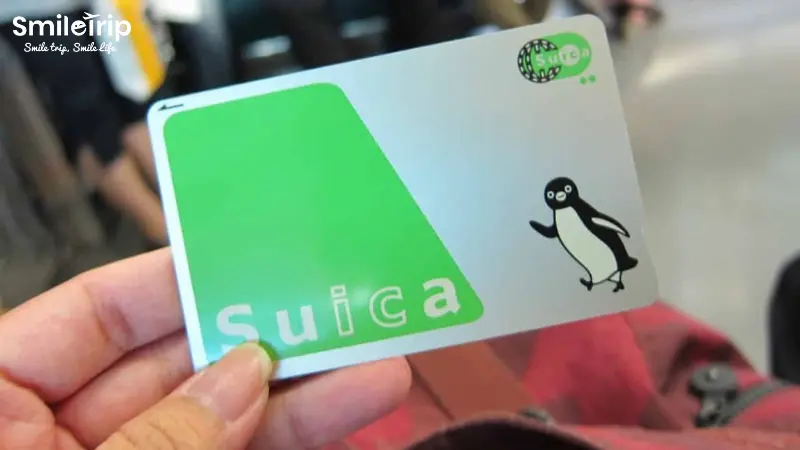 Bảo quản thẻ Suica cẩn thận