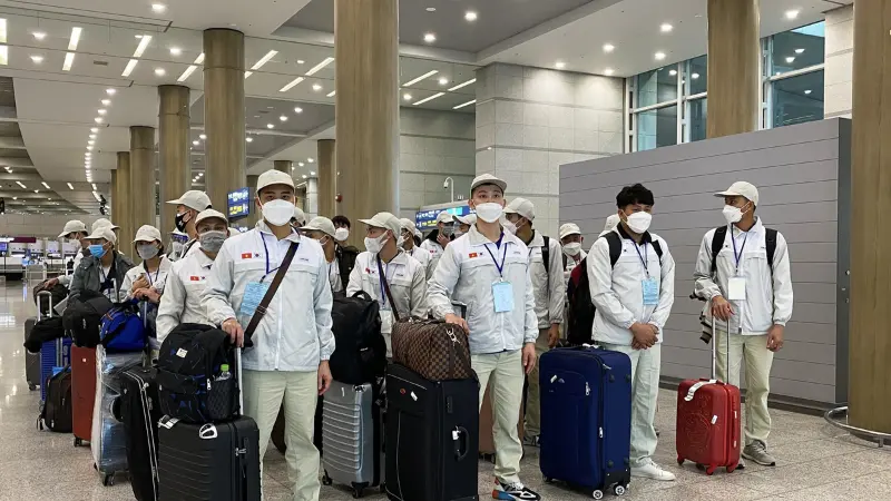 Đi Nhật Bản mang lại nhiều cơ hội phát triển cho người Việt