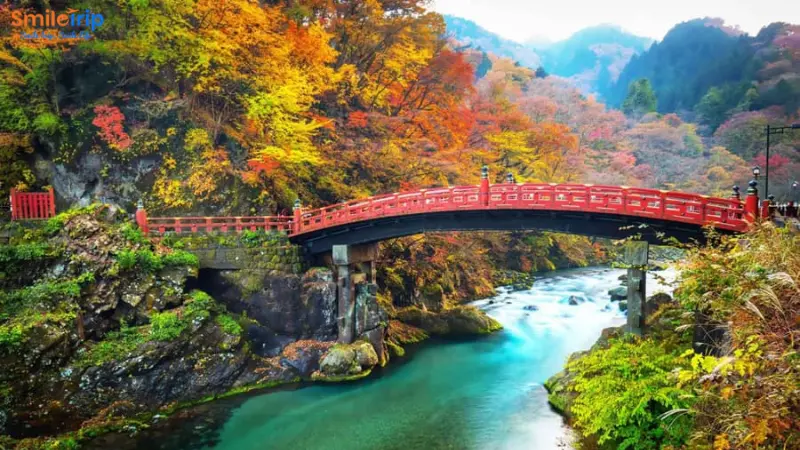 Ngắm lá đỏ tại Vườn Quốc Gia Daisetsuzan