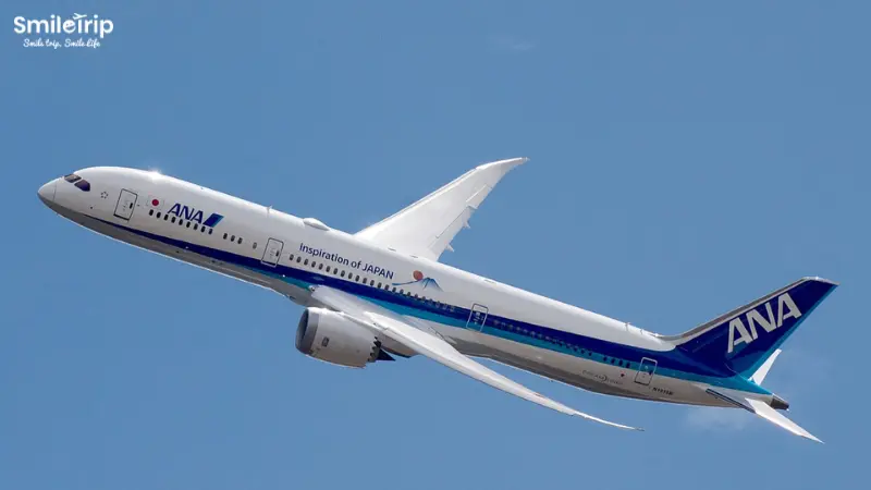 Máy bay Boeing 787-8(788) nâng tầm trải nghiệm bay