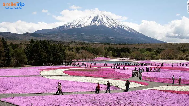 Tham quan các điểm du lịch ấn tượng tại Nhật Bản