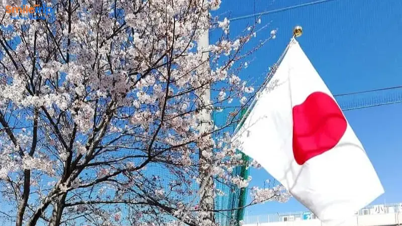 Cờ Nhật xuất hiện trong các dịp lễ quan trọng