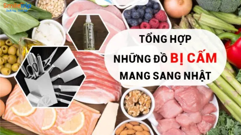 Vật dụng cấm mang đi Nhật Bản