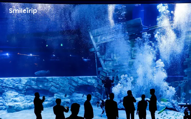 Thủy cung Lotte World Aquarium Hà Nội